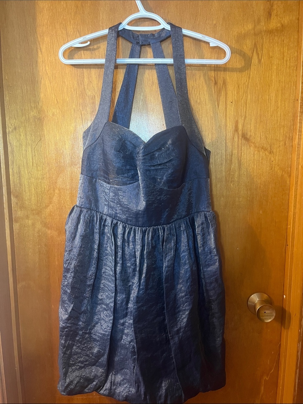 Woman’s Laundry by Design Shimmery Blue  Dress 12